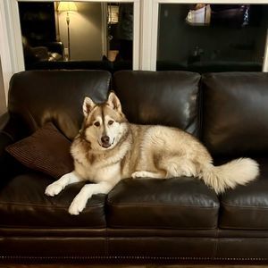 Meet your Posher, Stephen